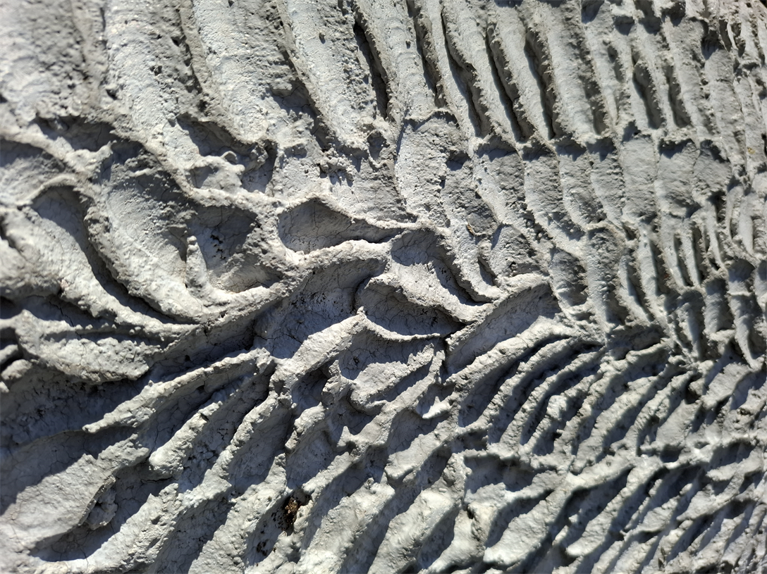 Austin Texas Relief Cement Art
Order Your Art Be Created For YOU!