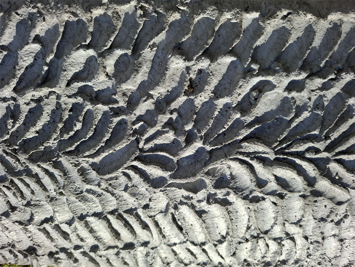 Order Art in Relief For Murals, Sidewalks,
Paintings, Floors, Countertops, Restaurants, 
Hotels, Bars, Shops, Galleries or Museums!
Multidimensional Art in Relief Creator DAPACU
